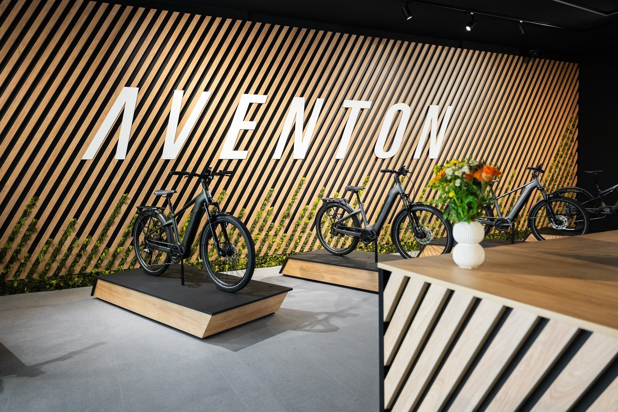 E-Bike Vergleich 2026