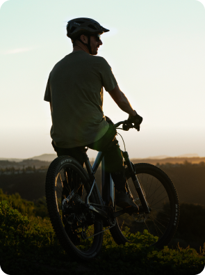 Alle E-Bikes